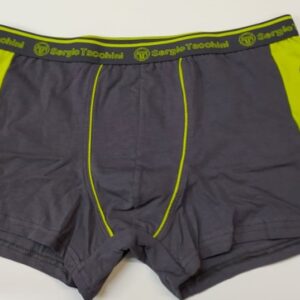 Ανδρικό boxer SERGIO TACCHINI 21350,γκρι.