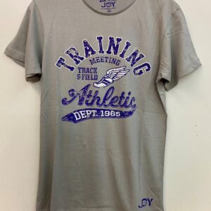 Ανδρικό T-shirt JOY by PALCO 6200,γκρι.